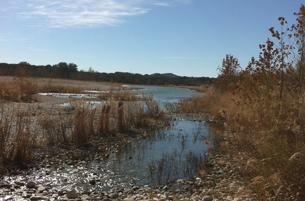 Vance, Texas